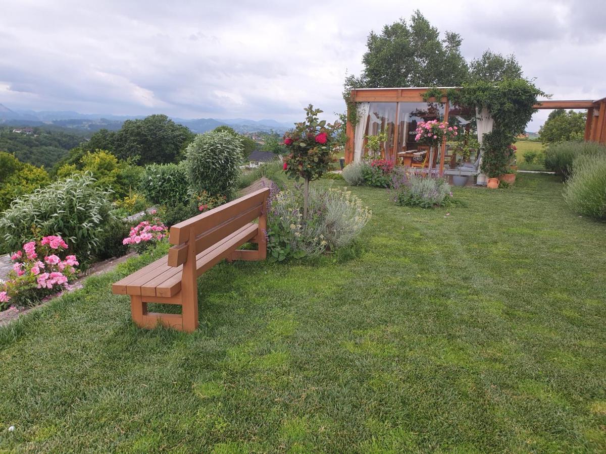 B&B Villa Angelina Rogaska Slatina Exterior photo