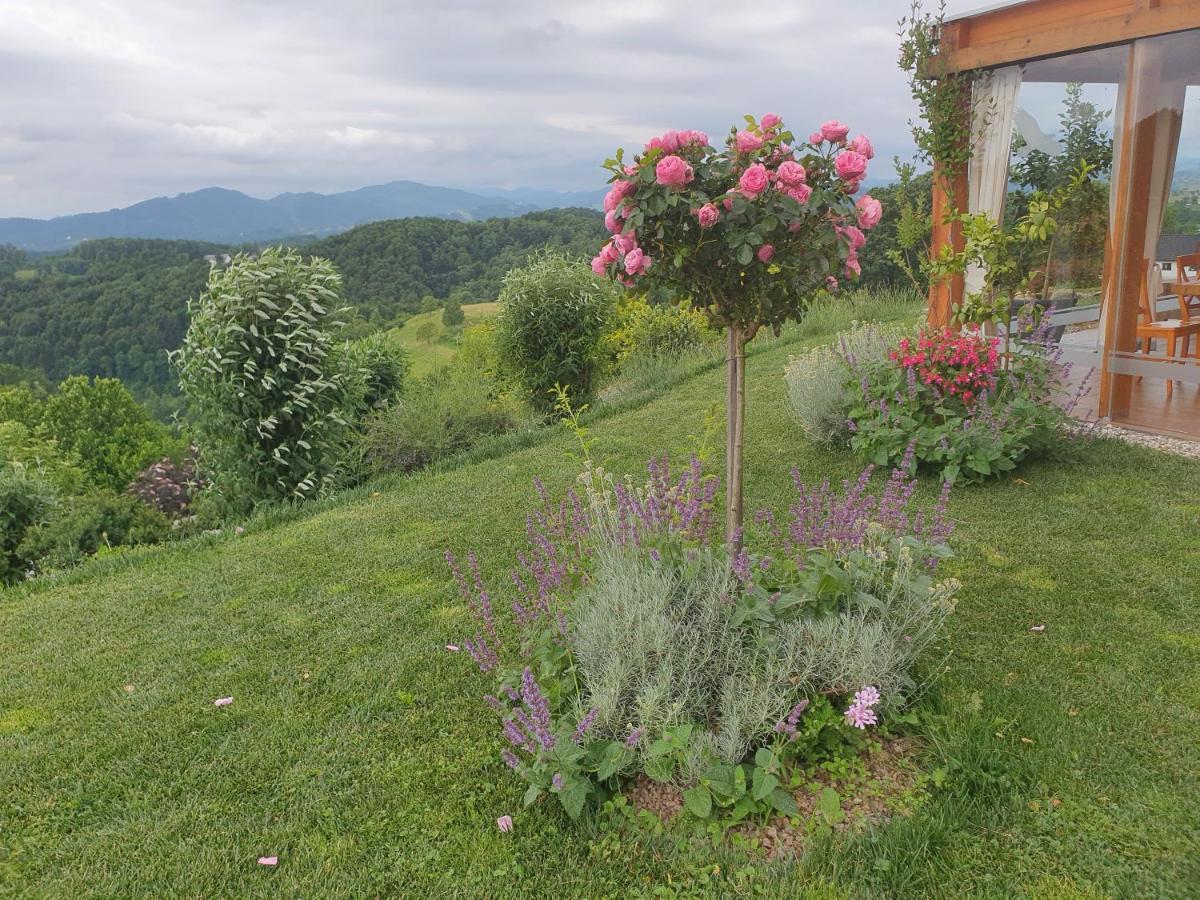 B&B Villa Angelina Rogaska Slatina Exterior photo