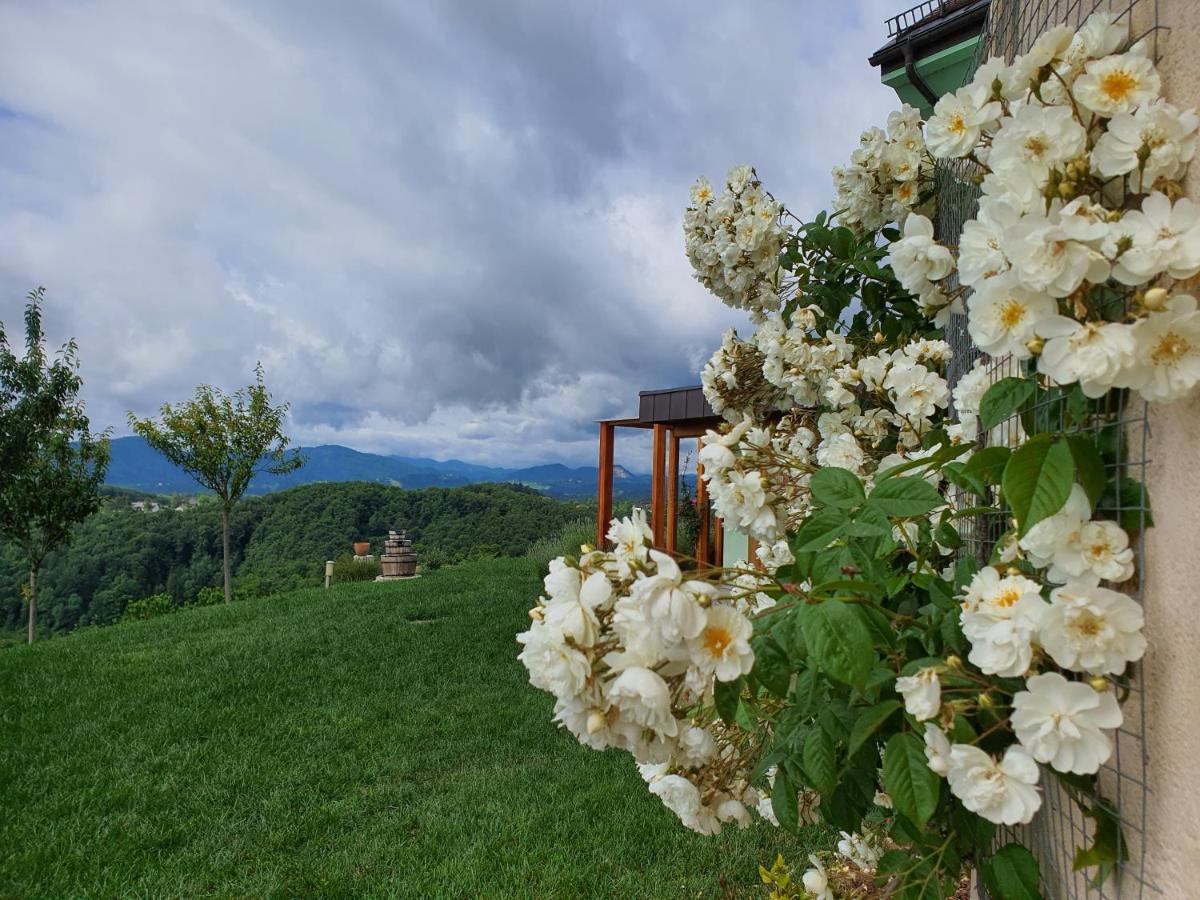 B&B Villa Angelina Rogaska Slatina Exterior photo