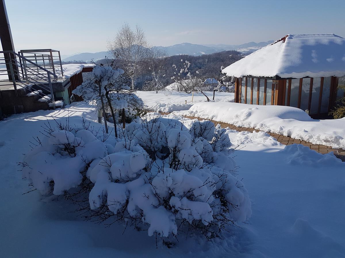 B&B Villa Angelina Rogaska Slatina Exterior photo